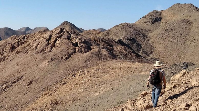 Aton Resources’ senior exploration geologist Tim Neall approaches ancient workings at Aladdin’s Hill, near the Rodruin gold prospect area, in December 2017. Credit: Aton Resources.