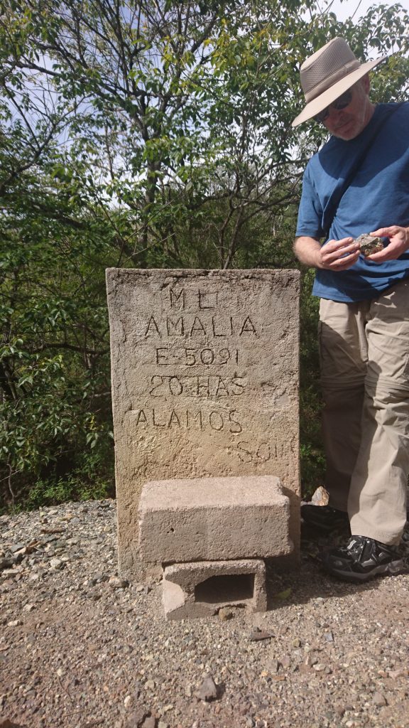 Minaurum director David Jones examines rock samples next to a historic claim marker on the Alamos project. Photo by Richard Quarisa.