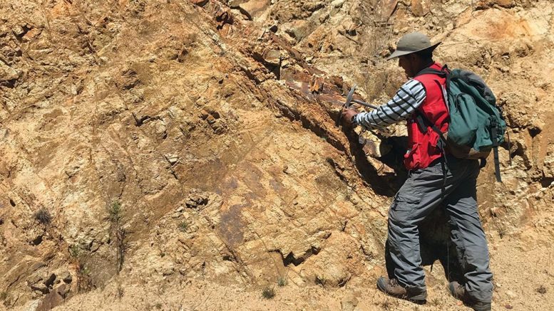 A geologist collects a sample at the Totora target on Auryn Resources’ Sombrero copper project in Peru. Credit: Auryn Resources.