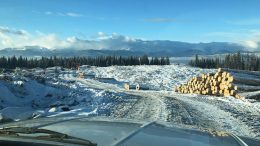 Logging operations on the Nilkitkwa copper-gold property in central British Columbia, which Pacific Empire Minerals has optioned. Credit: Pacific Empire Minerals.