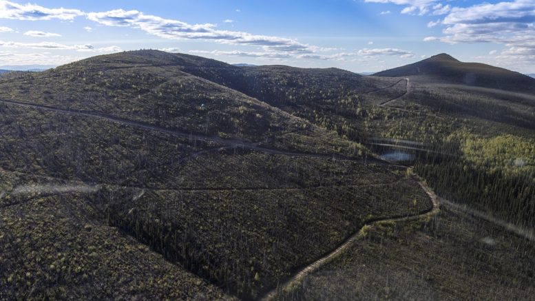 Part of White Gold's White Gold district in Yukon. Credit: White Gold.