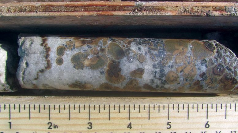 Drill core displaying colloform lead-zinc mineralization from Pine Point. Credit: Osisko Metals.