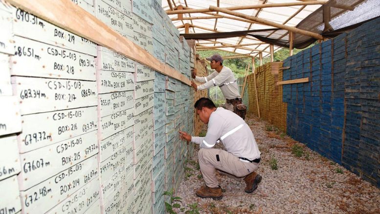 Workers examine core boxes at Cascabel. Credit: SolGold.