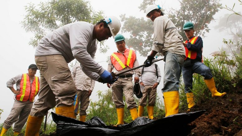 Workers soil sampling at SolGold's Alpala copper-gold property in Ecuador. Credit: SolGold.
