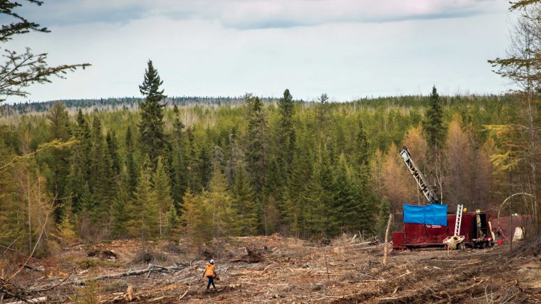 A drill rig in the Bear-Rimini zone at Great Bear Resources’ Dixie gold property in Red Lake, Ontario. Credit: Great Bear Resources Ltd.