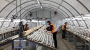 Workers examine drill core at Wallbridge Mining’s Fenelon gold project in northwestern Quebec. Credit: Wallbridge Mining.