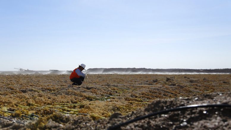 Chile’s drought forces Antofagasta to cut copper guidance