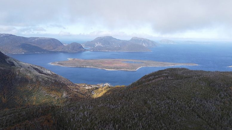 York Harbour makes Newfoundland base metals exploration progress