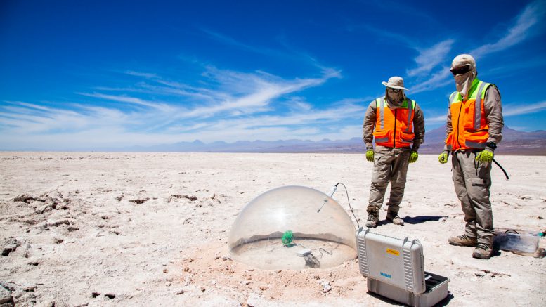 Albemarle becomes first lithium firm to complete responsible mining audit