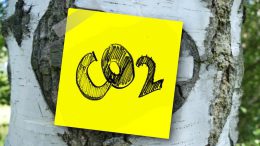 CO2 sign on a tree