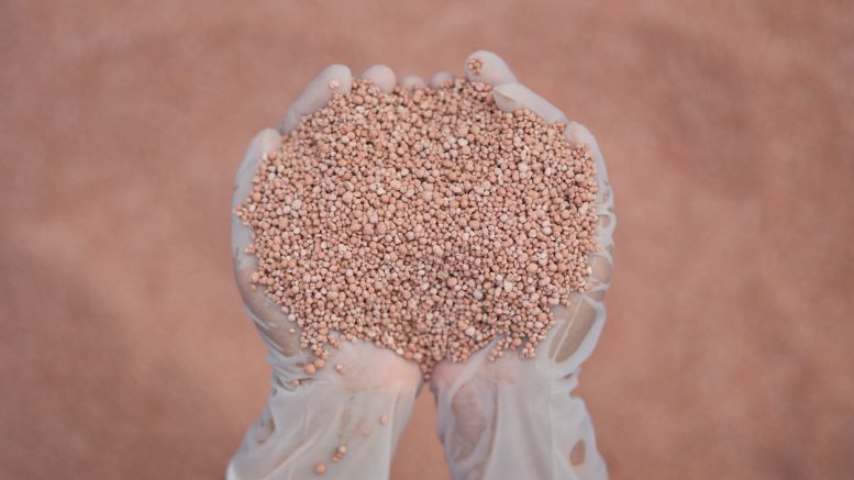 World to face ongoing, high potash prices as Brazil Potash propels Autazes toward production