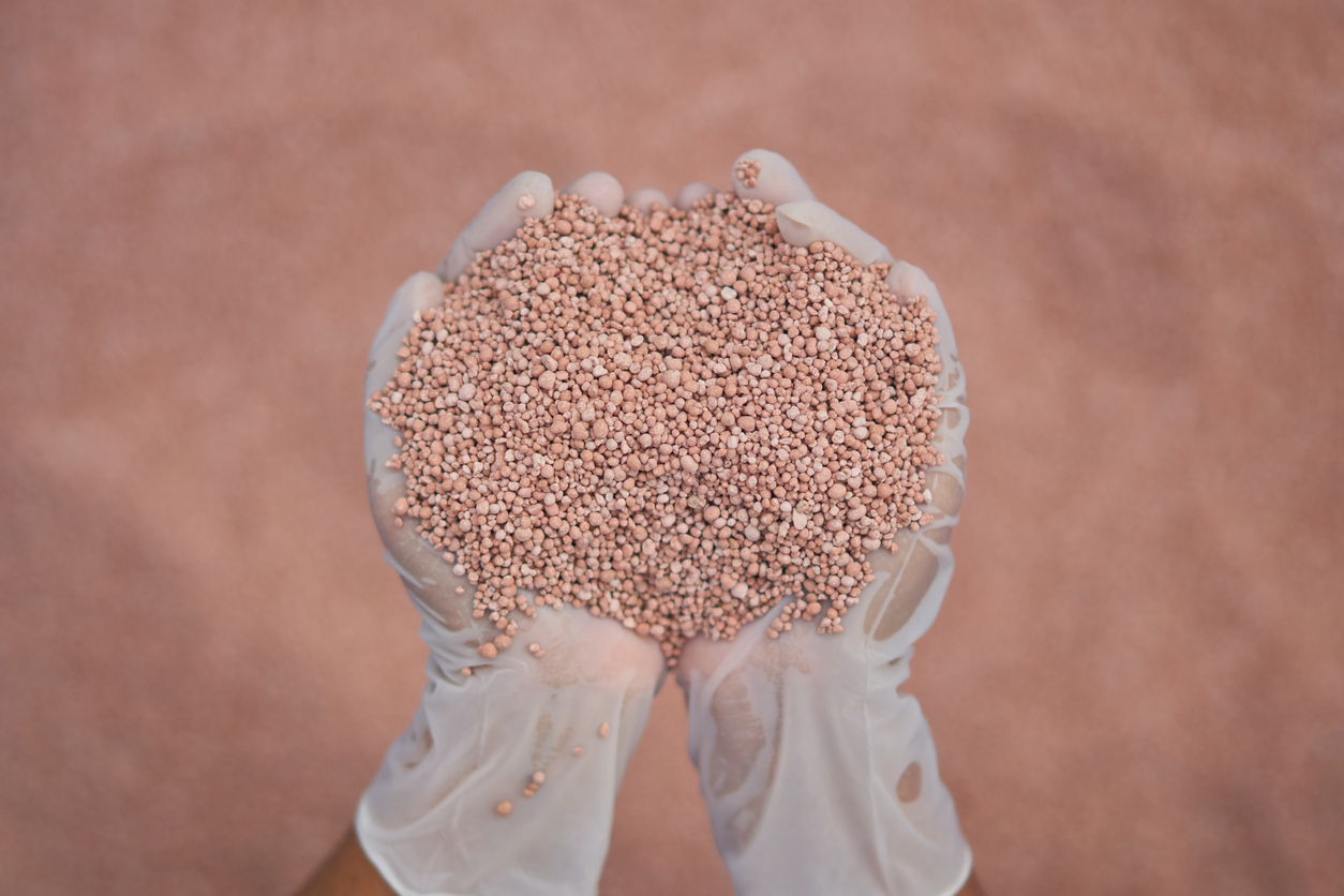 Brazil Potash gets state licence for disputed Autazes mine - The ...