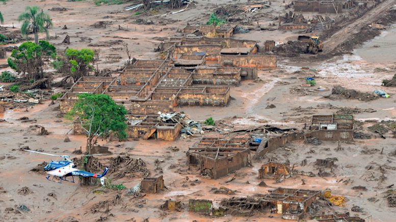 How plants support remediation efforts in areas affected by Fundão dam disaster