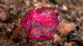 Gemfields fetches almost $69 million at ruby auction