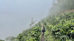 Collective Mining grows Guayabales gold zone in Colombia