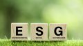 ESG scrabble