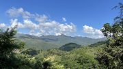 A view of the Panuco project area. Credit: Vizsla Silver.